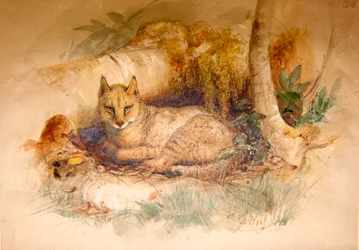 Ägyptische Katze, 1851-69